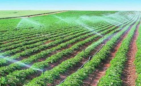 快插出白浆了视频农田高 效节水灌溉